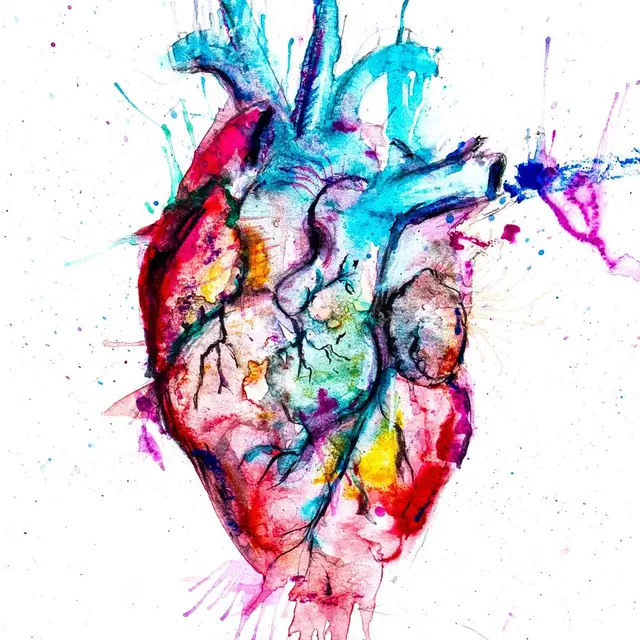 Heart