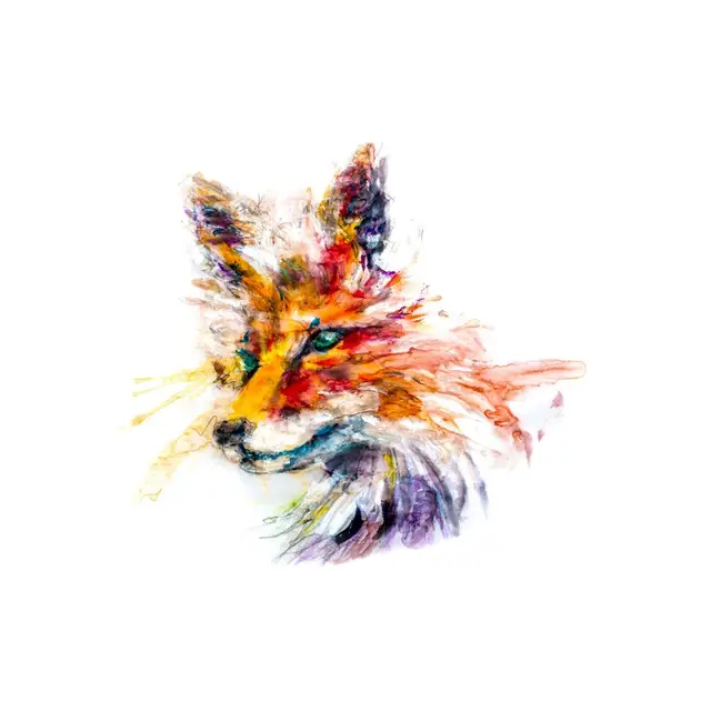 The Fox