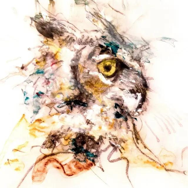 The Owl